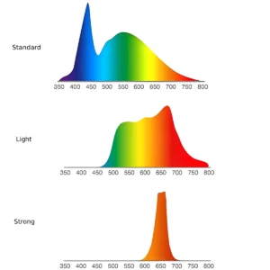 Zdrowa żarówka LED E27 3w1